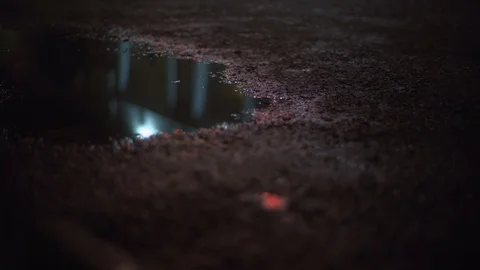 Closeup view of wet shining asphalt with reflection of electric city lights and Stock Footage 89961014