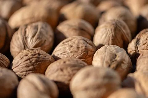 Closeup view of whole walnuts scattered together in warm natural light Fotos de archivo