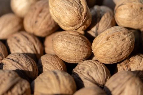 Closeup view of whole walnuts in shells with warm natural light Stockfoto's
