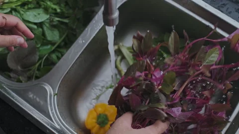 CloseUp View of Womans Hand Holds Bunch of Fresh Green Tasty Basil and Pours it Stock Footage 273131561