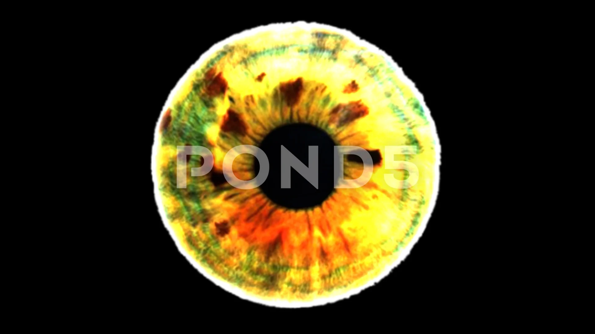 Closeup View Of Zombie Eye Iris Light Multiple Color Hi Res