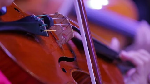 Closeup of a violin and hand with a bow. Symphony Orchestra. Violinists Stockbeeldmateriaal 163836200