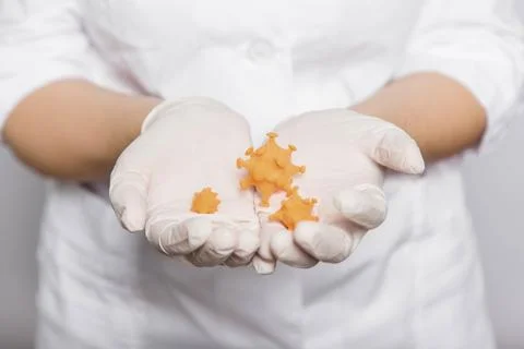 Closeup virus mock up in doctor's hands, concept of scientific research Stock Photos