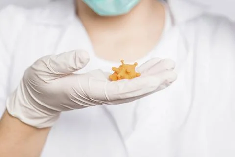 Closeup virus mock up in doctor's hands, concept of scientific research Stock Photos