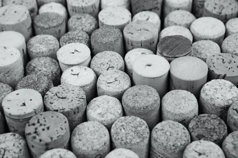 Closeup of a wall of used wine corks. Stock Photos