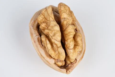 Closeup of walnut seed features. Enhanced visual representation showcasing in Foto stock
