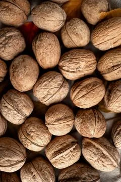 Closeup of walnuts in shell. Stock Photos