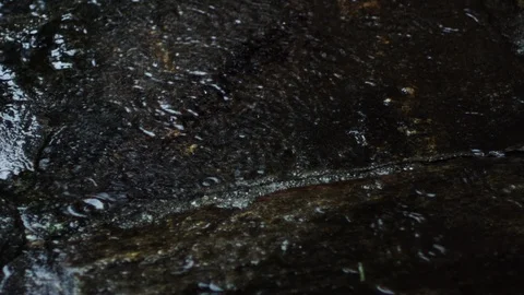 Closeup of water drops falling on an old granite stone floor, moving camera Stock Footage 98051838
