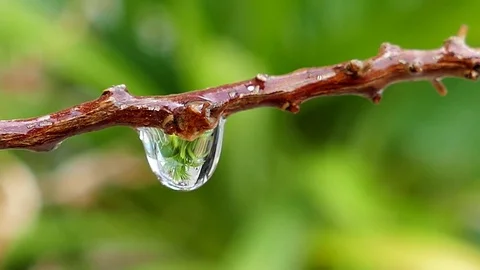 Closeup of water drops. Video stock 74958621