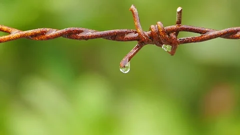 Closeup of water drops from old wire. Video stock 75015857