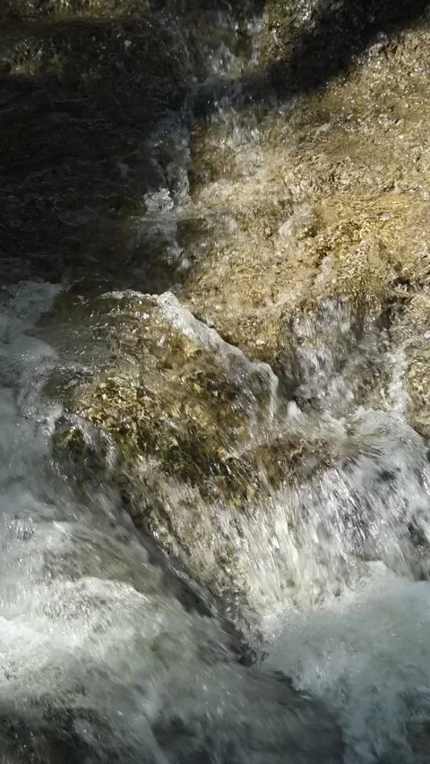Closeup of water flushing over rocks from a mountain stream in the summer aftern Video stock 260940743