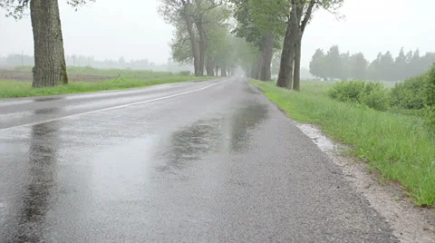 Closeup of water rain drops fall on asphalt road between trees Stock Footage 34728767