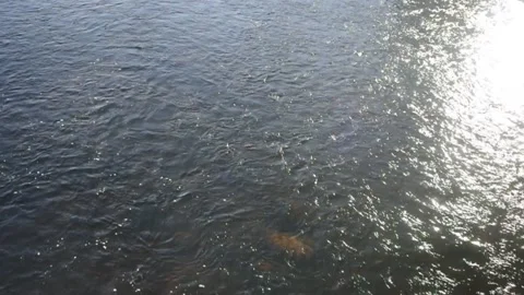 Closeup of water with reflection Stock Footage 166484451