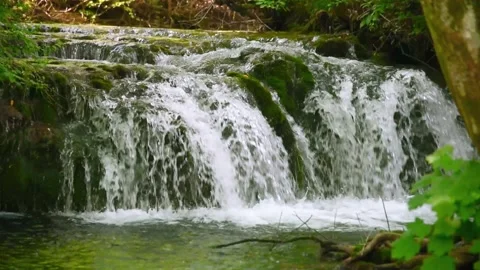 Closeup of waterfall cascade in deep forest. Wild nature water fall creek landsc Stock Footage 345741635
