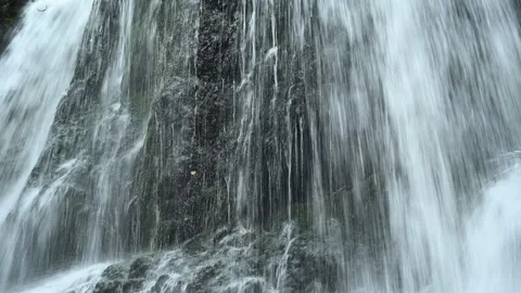 Closeup of a waterfall flowing over mossy stones, Josefsthaler Wasserfälle 스톡 동영상 288142501