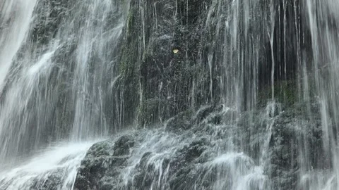 Closeup of a waterfall flowing over mossy stones, Josefsthaler Wasserfälle 스톡 동영상 288142524