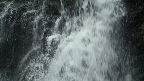 Closeup of a waterfall flowing over mossy stones, slow motion Stock-Footage 288148662
