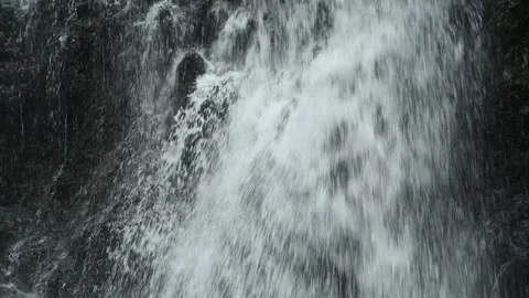 Closeup of a waterfall flowing over mossy stones, slow motion 스톡 동영상 288148674