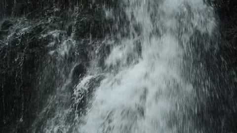 Closeup of a waterfall flowing over mossy stones, slow motion 스톡 동영상 288148923