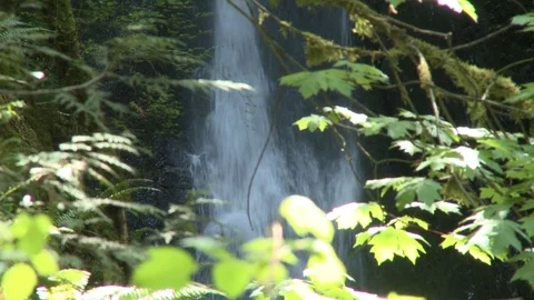 Closeup of waterfall pan down Stock Footage 75278438