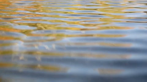 Closeup waves on the river Stock Footage 139824656