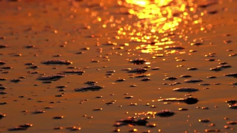 Closeup Waves on Sandy Beach with Sun reflection  on Sunset Stock Footage 169145020