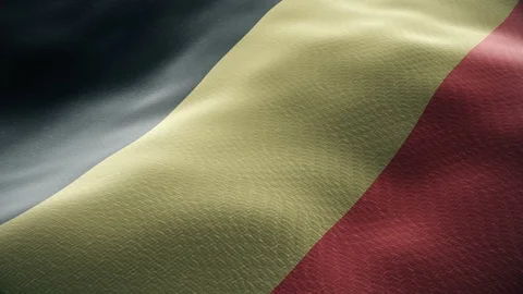 Closeup of a waving belgian flag looping Stock Footage 123221675