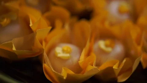 Closeup of Wedding Candy Stock Footage 73279547