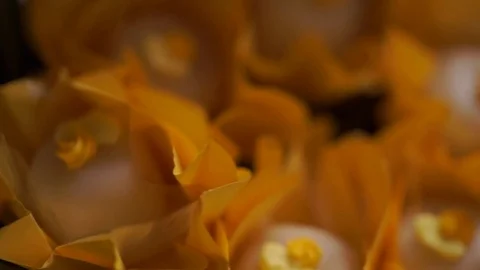 Closeup of Wedding Candy Stock Footage 73279600