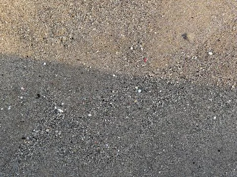 Closeup of wet beach sand texture with small grains and tiny shells Stock Photos
