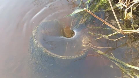 Closeup of whirlpool or water vortex at the paddy field land Stock Footage 320335923