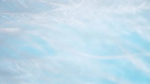 Closeup white fluffy feather texture on blue abstract background, blurred motion Video stock 157524806
