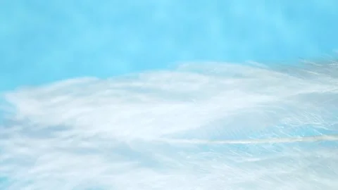 Closeup white fluffy feather texture on blue abstract background, blurred motion 動画素材 157524811