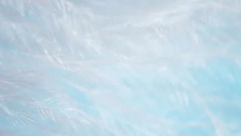 Closeup white fluffy feather texture on blue abstract background, blurred motion Stock Footage 160588856