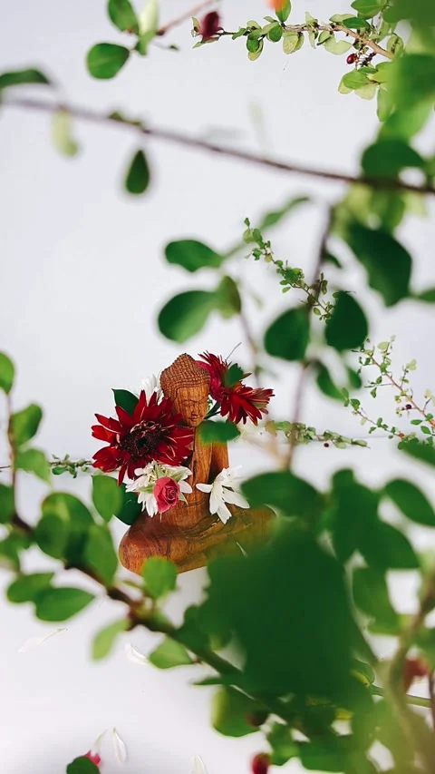 Closeup, white, macro, buddha, studio, statue, buddha statue, spiritual, flower Stock Footage 245858979