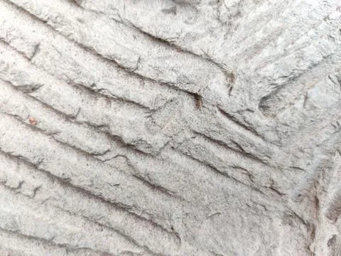 Closeup of white stone texture. Stock Photos