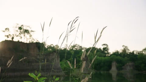 Closeup of wild grass gently swaying in soft breeze with rocky cliffs and lake Stock Footage 328925563
