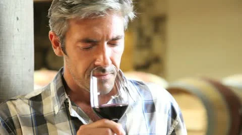 Closeup on winemaker smelling red wine in glass Stock-Footage 14834326
