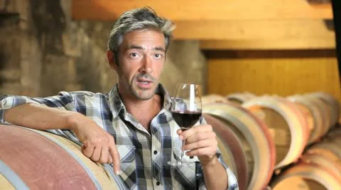 Closeup of winemaker talking to camera in winery Video stock 14834129