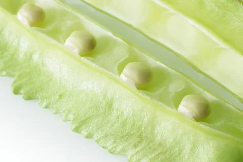 Closeup winged bean seed , Stock Photos