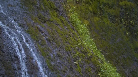Closeup at Winter Falls at Silver Falls Stock Footage 91261417