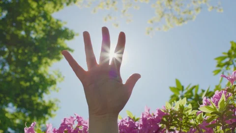 Closeup Of Woman's Hand Reaching For Sun In Beautiful Garden, Plays With The Sun Stock-Footage 129411770