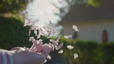 Closeup Of Woman's Hand As She Blows Pink Petals, Church In Background Stock Footage 129484035