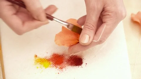 Closeup of woman's hands creating flower decoration for a cake on the kitchen Stock Footage 74584741