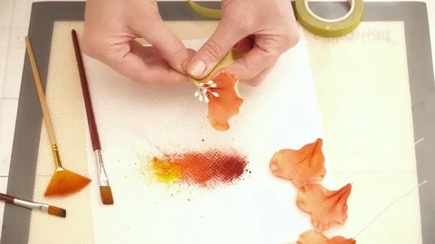 Closeup of woman's hands creating flower for a cake decoration Stock Footage 74585107