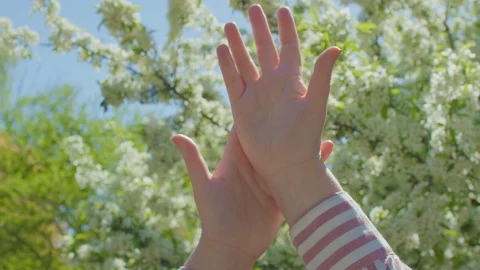 Closeup Of Woman's Hands Dancing In Front Of Beautiful White Blossoming Tree Stock-Footage 129484381