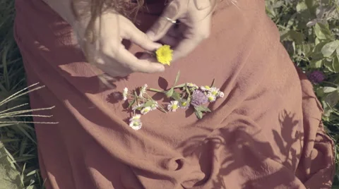 Closeup Of Woman's Hands As She Arranges Wild Flowers In Her Dress, In A Field Video stock 55910785