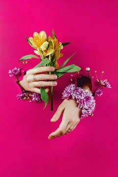 Closeup of woman's hands through torn paper holding yellow alstroemerias and  Stock Photos