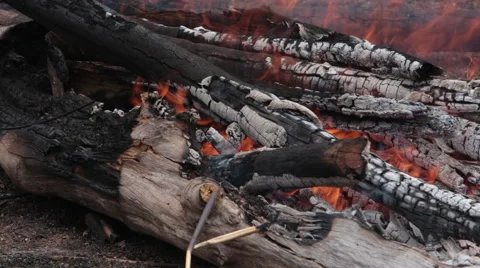 Closeup of Wood Fire Видео 63480104