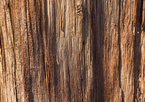 Closeup wood surface Stock Photos